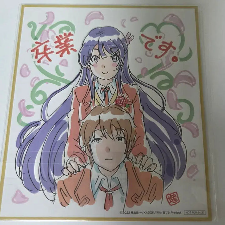 [BUNJANG] Seishun Buta Yarou The Movie Sakura Jima Mai Shikishi / 청춘돼지 극장판 색지 사쿠라지마 마이 청춘 돼지