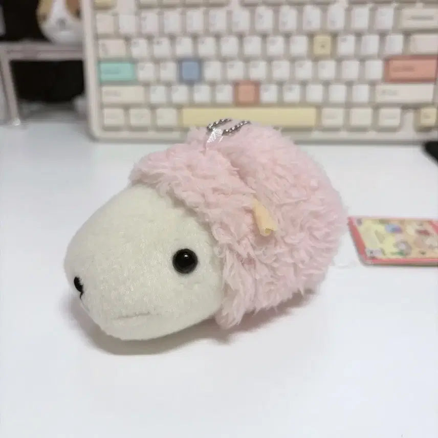 [BUNJANG] Capybara Plush Doll / 카피바라상 양인형