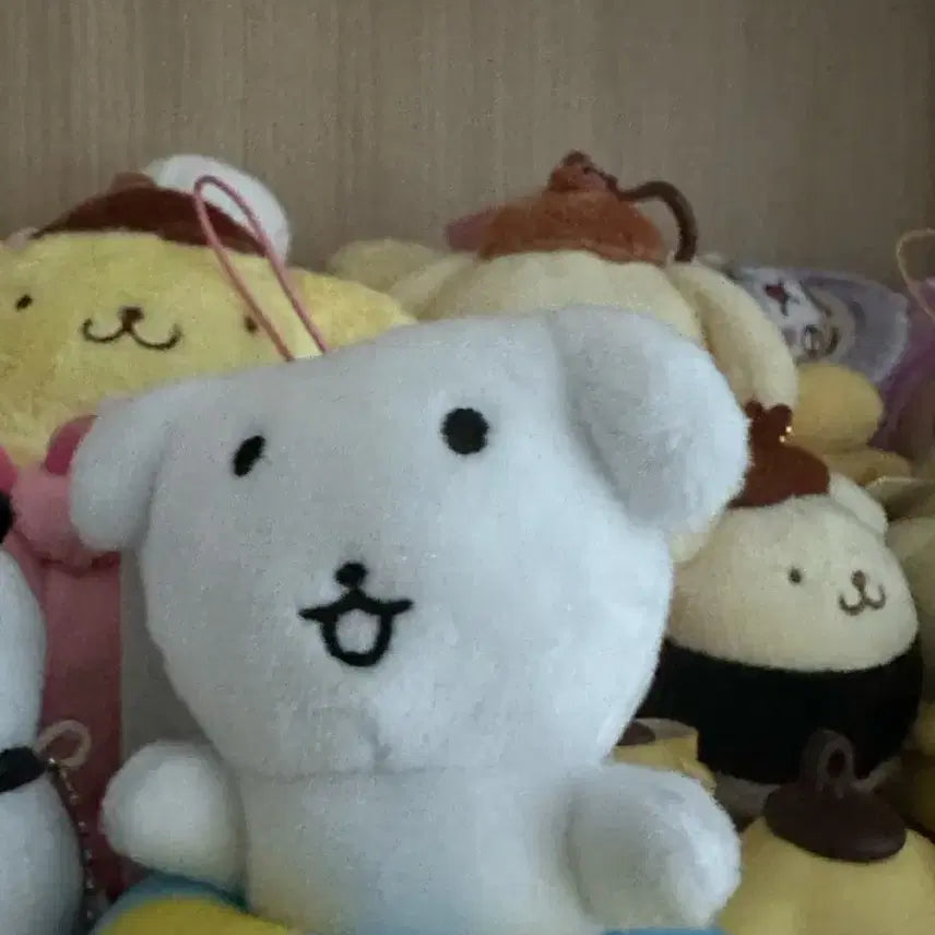 [BUNJANG] Toriden Ganadi Doll / 토리든 가나디 인형