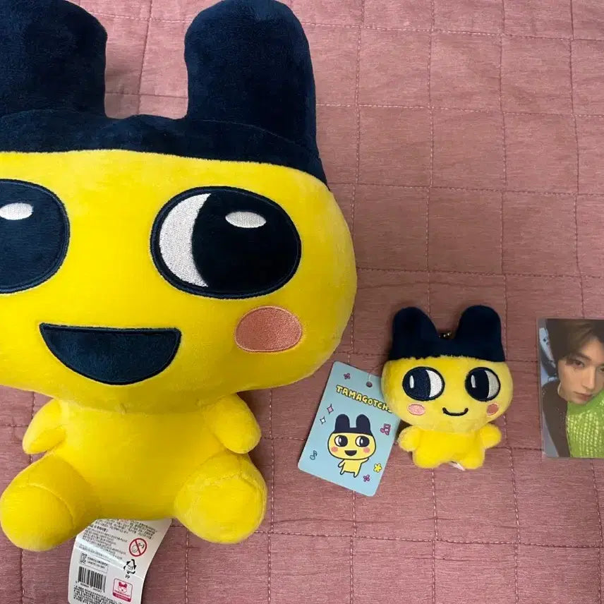 [BUNJANG] NCT WISH Sion Photocard / 다마고치 마메치 인형 &amp; 엔시티위시 시온 포카