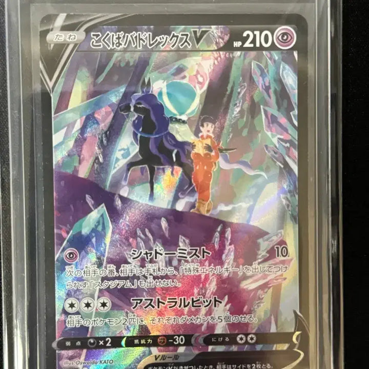 [BUNJANG] Pokemon Card Japanese White Kyurem &amp; Black Kyurem V, VMAX CSR Bundle Set / 포켓몬카드 일판 백마&amp;흑마 V,V Max CSR 일괄