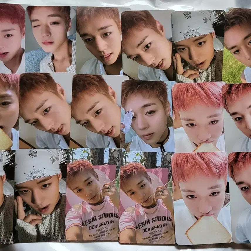 [BUNJANG] Park Ji-hoon Fan Meeting Goods Bundle Set (PLVE Ver. Album, King of the Masked Man Goods) / [일괄판매]박지훈 팬미팅 굿즈, 앨범(plve ver.), 왕사남 굿즈