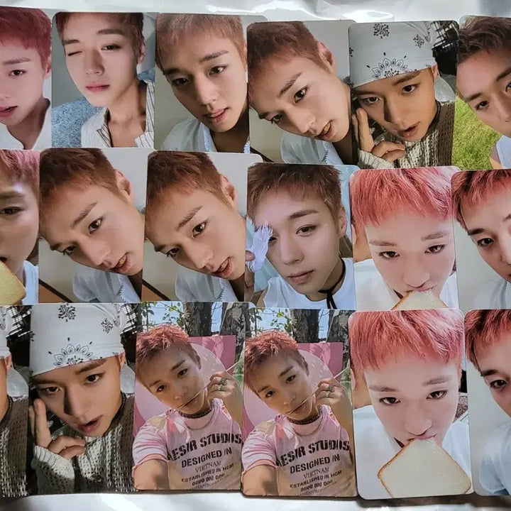 [BUNJANG] Park Ji-hoon Fan Meeting Goods Bundle Set (PLVE Ver. Album, King of the Masked Man Goods) / [일괄판매]박지훈 팬미팅 굿즈, 앨범(plve ver.), 왕사남 굿즈