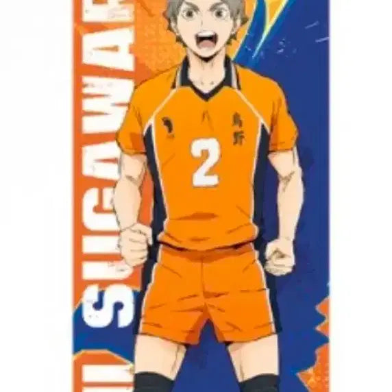 [BUNJANG] Haikyuu!! Sugawara Koushi Full Body Tapestry / 하이큐 스가와라 코우시 전신 태피스트리 족자봉 카라스노 스가
