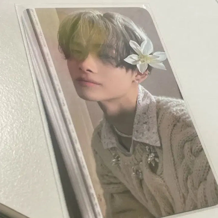 [BUNJANG] ENHYPEN NI-KI Sweet Venom Photocard Bundle Set / 엔하이픈니키 스윗베놈 포카 일괄 공방 애플뮤직 뮤코 유튜브 재팬럭드