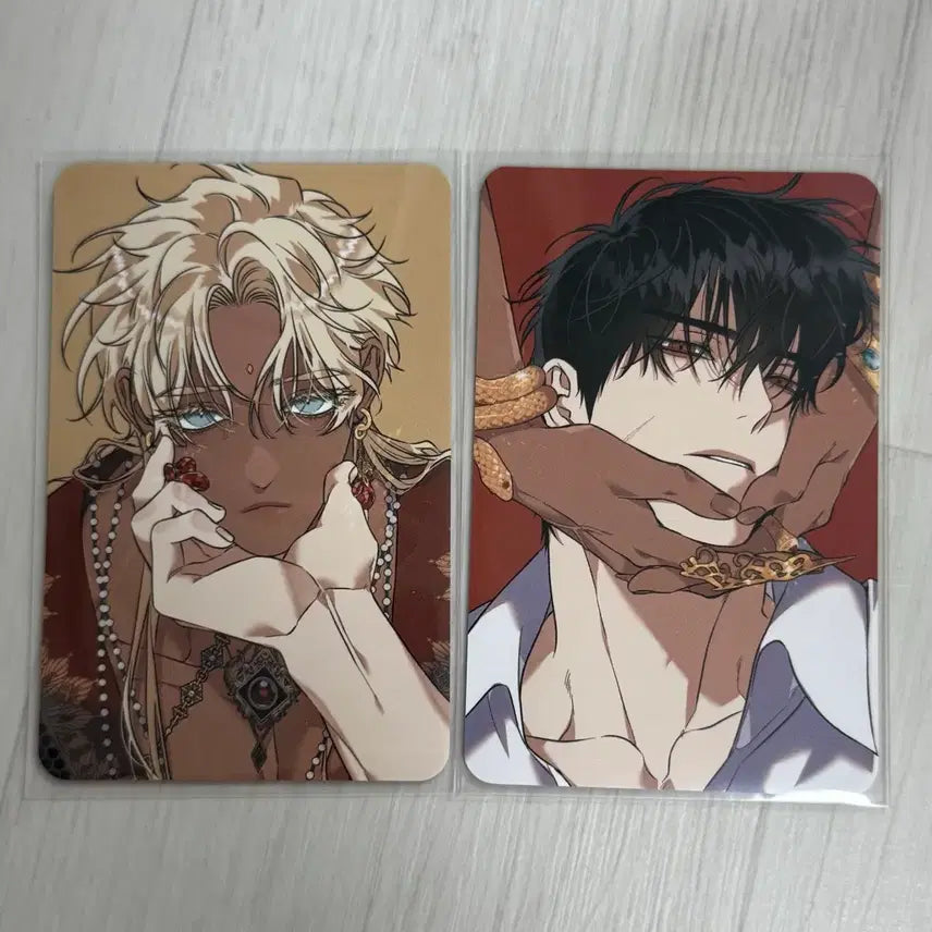 [BUNJANG] Flower Path Collection Photocard Special Bundle Set / 백야의꽃길 컬렉션포토카드 스페셜 컬포 일괄