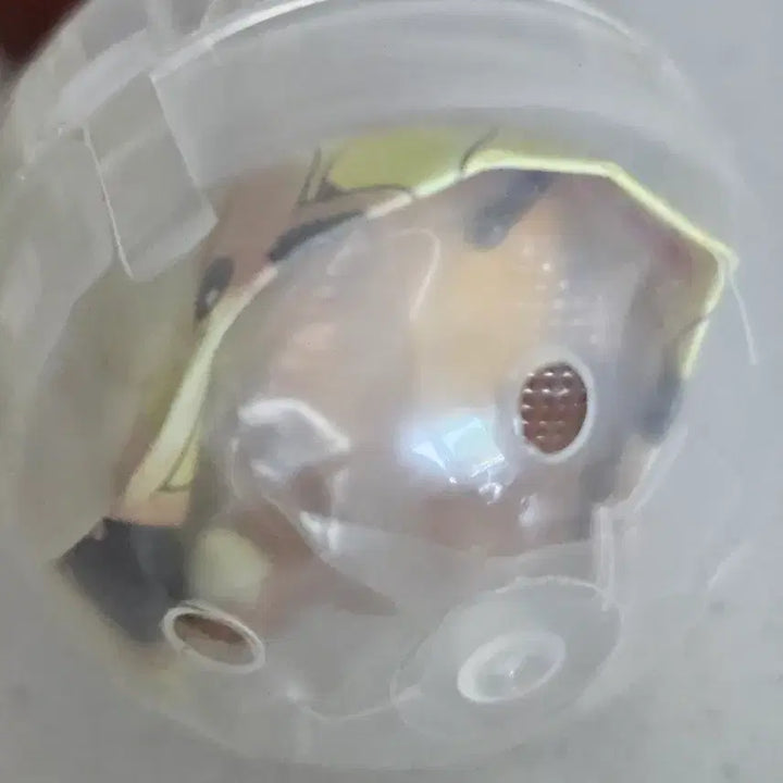 [BUNJANG] Fan of Pikachu Golduck Sealed Figure / [판매] 팬오브피카츄 고라파덕 미개봉