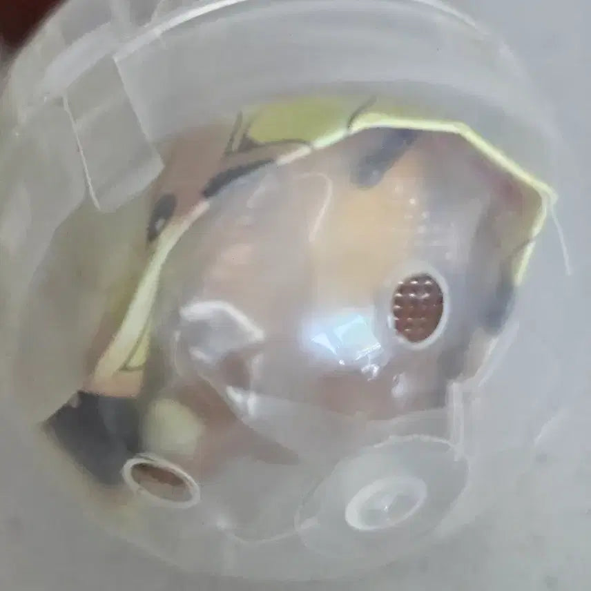 [BUNJANG] Fan of Pikachu Golduck Sealed Figure / [판매] 팬오브피카츄 고라파덕 미개봉
