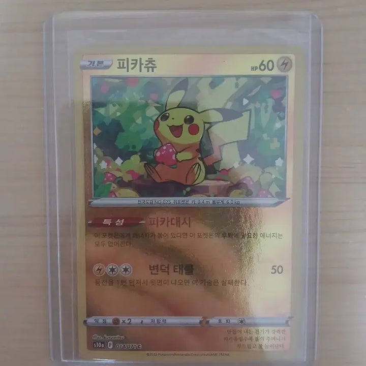 [BUNJANG] Pikachu TCG Set / 피카츄 세트로 팝니다