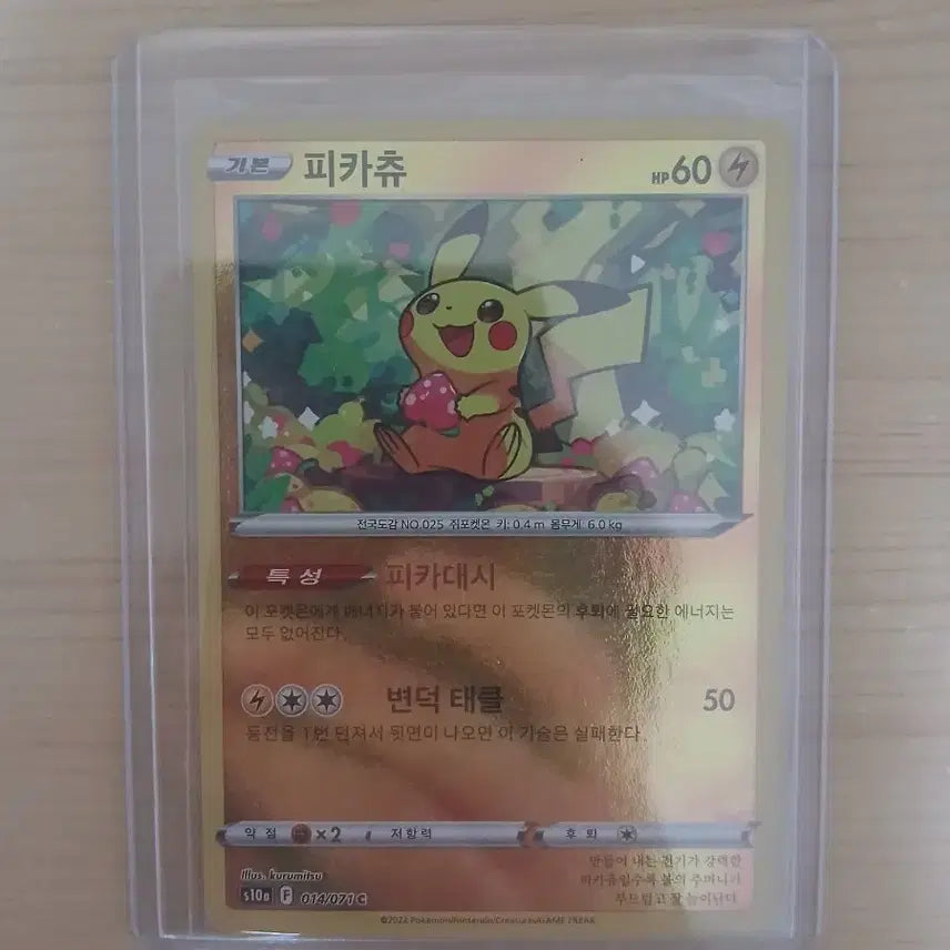 [BUNJANG] Pikachu TCG Set / 피카츄 세트로 팝니다