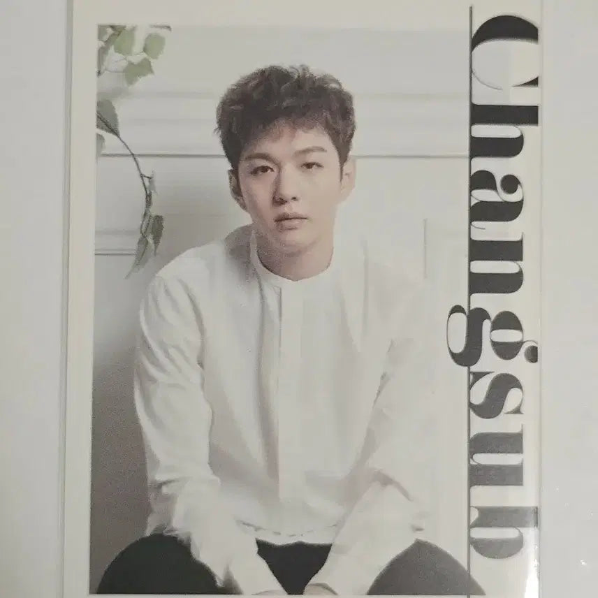 [BUNJANG] Lee Changsub Dear Bride Japan Album Normal Edition Photocard / 이창섭 dear bride 일본앨범 통상반 포카