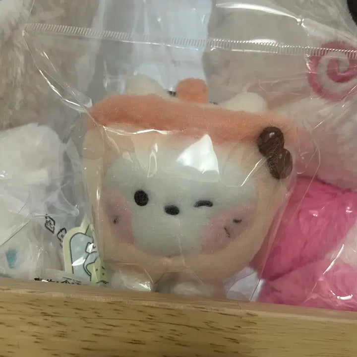 [BUNJANG] NCT Wish Bubble Nyan-ni &amp; Pangpang Nini Magnet / 엔위시 버블냥니&amp;팡팡니니 마그넷 판매