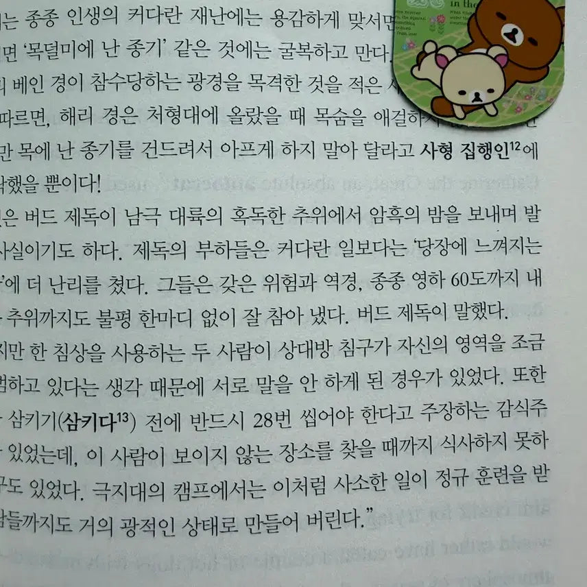 [BUNJANG] Rilakkuma Squirrel Bookmark Magnet / 고전 코리락쿠마 북마크 마그넷