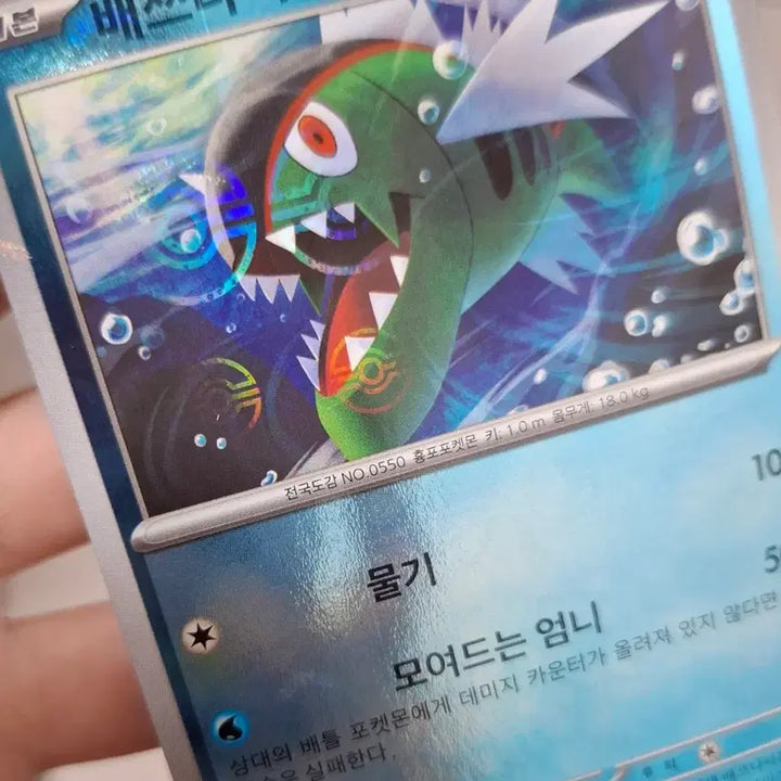 [BUNJANG] Pokemon Card Monster Ball Holo Error Vespiqueen / 포켓몬 카드 몬스터볼 홀로 오류 배쓰나이