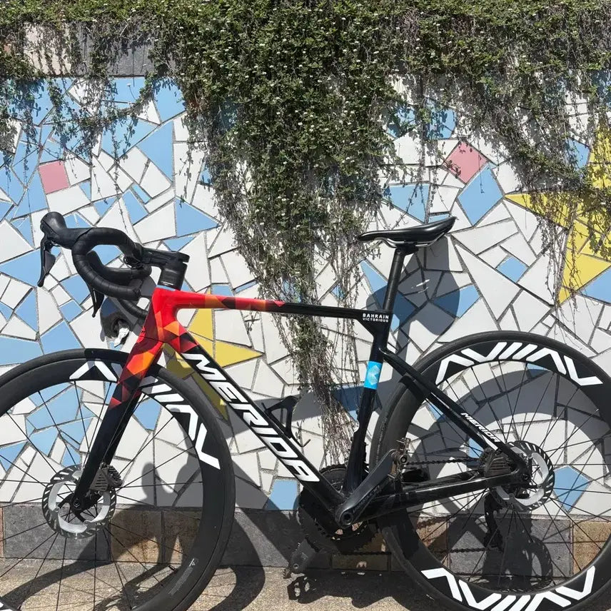 [BUNJANG] Aviave Adeon Wheel Set / 아비아브 아데온 흴셋 팝니다