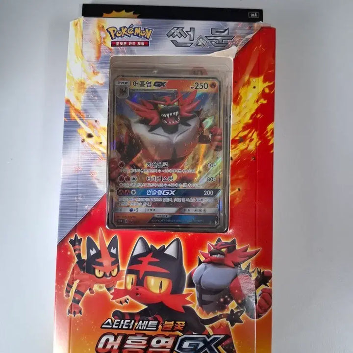 [BUNJANG] Pokemon Card Game Groudon GX Starter Set / 포켓몬카드 어흥염GX 스타터 세트