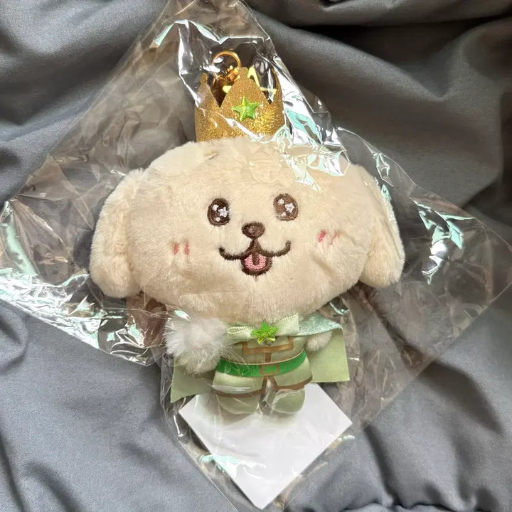 [BUNJANG] PrinceWishDoll Jaehee Denty Beaver Sealed / [미개봉] 프린스위시돌 재희 댕트리버