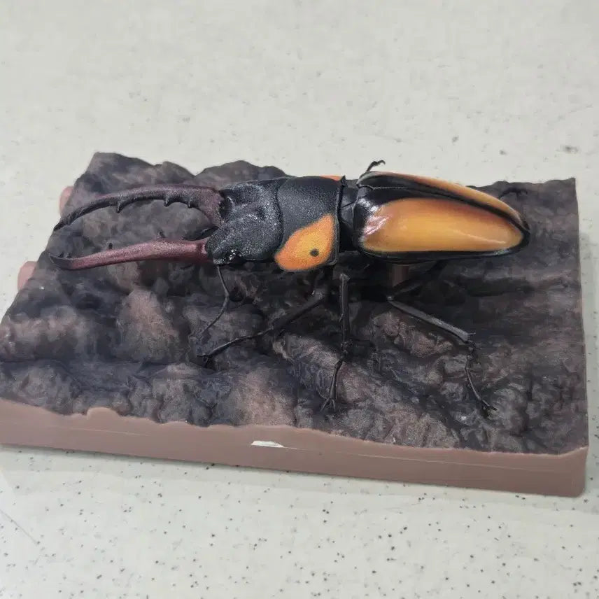 [BUNJANG] Creature Encyclopedia Vol. 11 Saba Gey Tom Stag Beetle (with Bark) / 생물대도감 11탄 사바게이 톱 사슴벌레 (수피 포함)