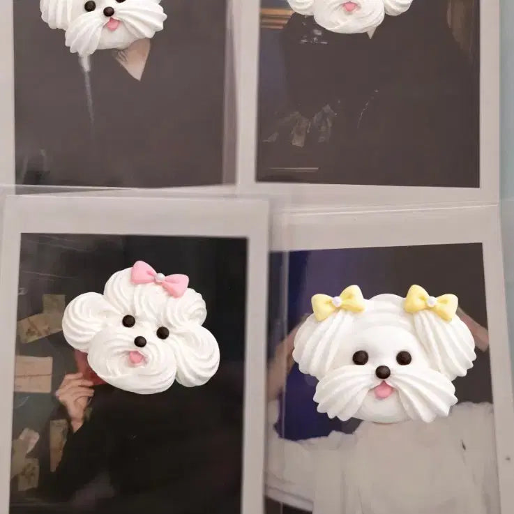 [BUNJANG] ONE TAEMIN Polaroid Set (Do Not Disturb) / 원태민 폴라 (두낫디)