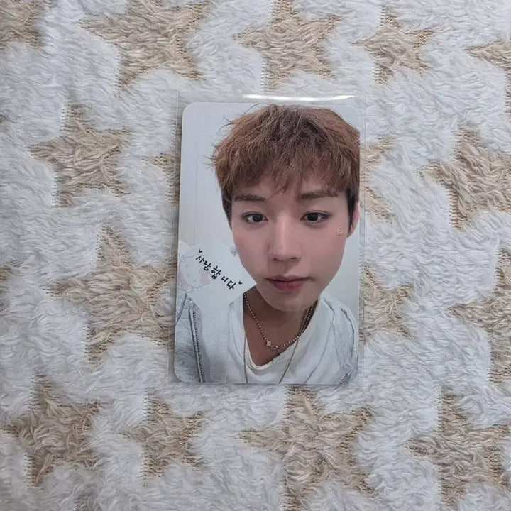 [BUNJANG] Park Jihoon Concert MD POB Photocard / 박지훈 콘서트 엠디 MD 5만원 특전 포카 판매