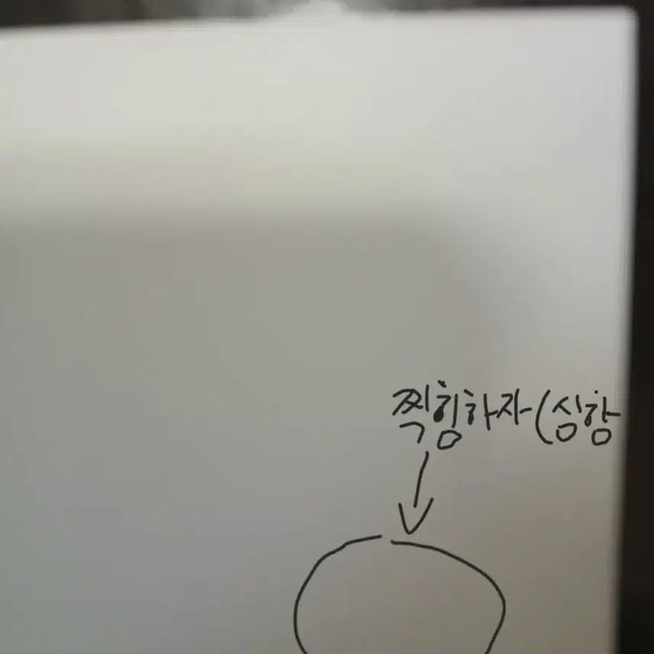 [SOLD OUT] 타몬군 타몬 생일 홀로그램 엽서