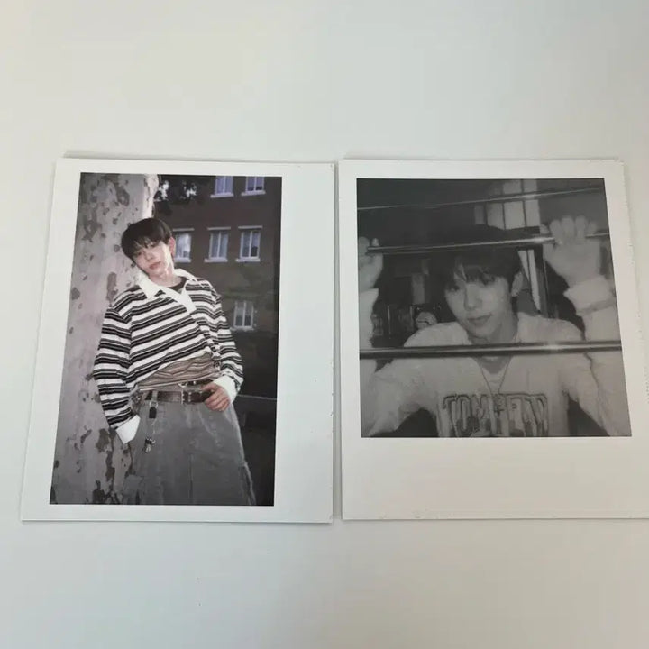 [SOLD OUT] 라이즈 미니앨범1집 쇼타로