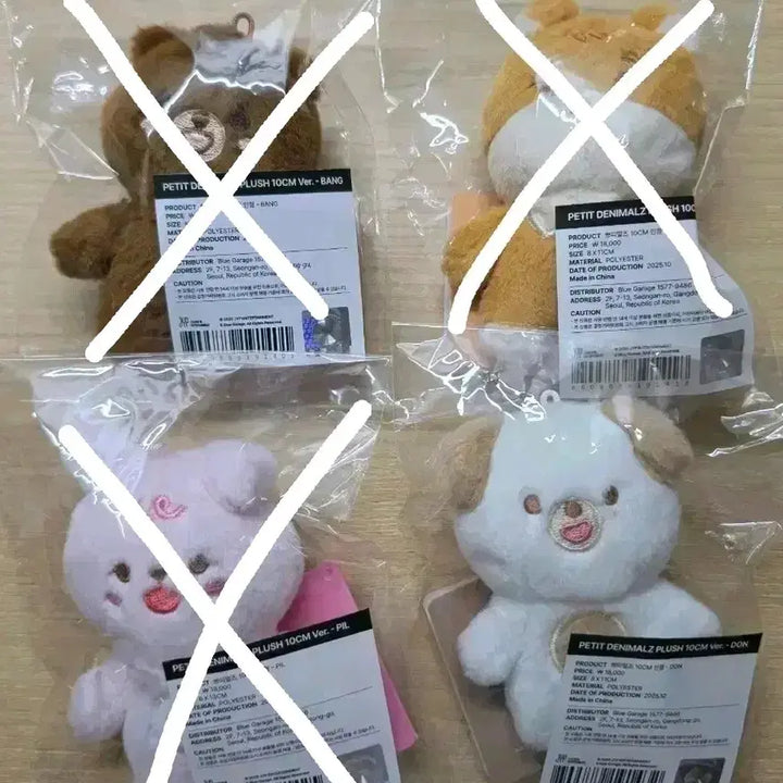 [BUNJANG] Day6 Petit Merz Don Photocard / 데이식스 쁘띠멀즈 돈