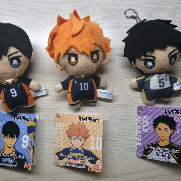 [BUNJANG] Haikyuu!! Plush Dolls Set / 하이큐 인형 팝니다!