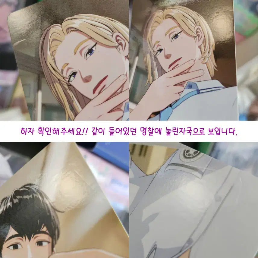 [BUNJANG] PlaYce 6th Summer Album Bundle Set / 플레이브 여섯번째 여름 앨범 일괄