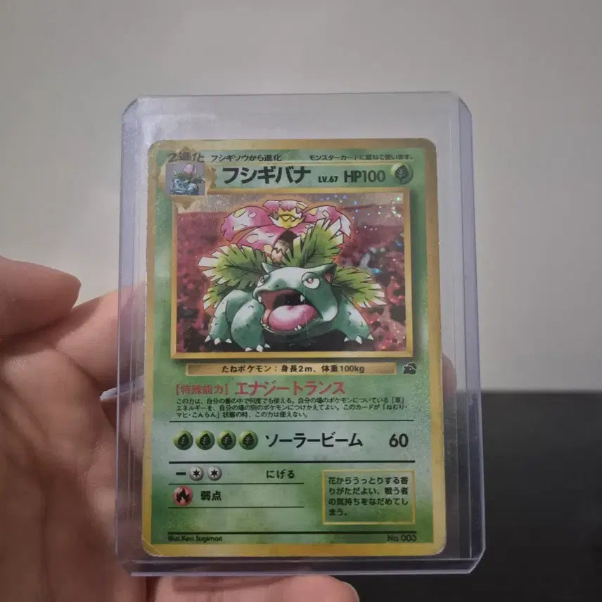 [BUNJANG] Pokemon TCG Neo Discovery Holo Exeggutor / 1999 인트로팩 이상해꽃 홀로