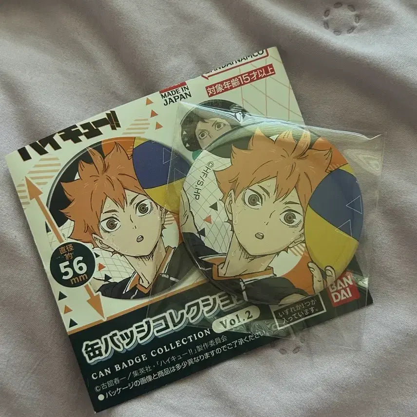 [BUNJANG] Haikyuu!! Shoyo Hinata Badge / 하이큐 히나타 쇼요 뱃지