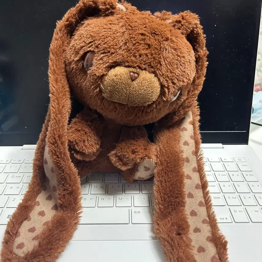 [BUNJANG] Valentine Chocolate Bunny Plush / 발렌타인 초코 범용토끼