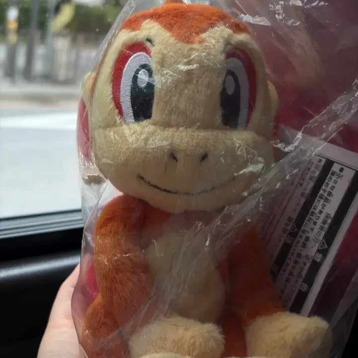[BUNJANG] Pokemon 30th Anniversary Ichiban Kuji Prize F Chimchar Plush / 포켓몬스터 30주년 이치방쿠지 F상 불꽃숭이 인형