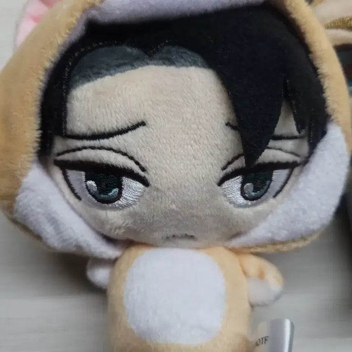[BUNJANG] Attack on Titan Papieri Levi Figure / 진격의거인 진격거 파피리 리바이