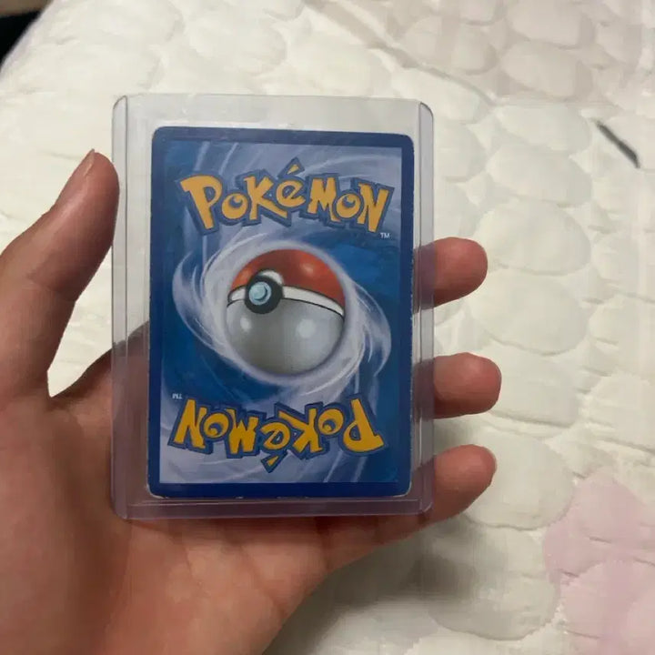 [BUNJANG] Charizard 