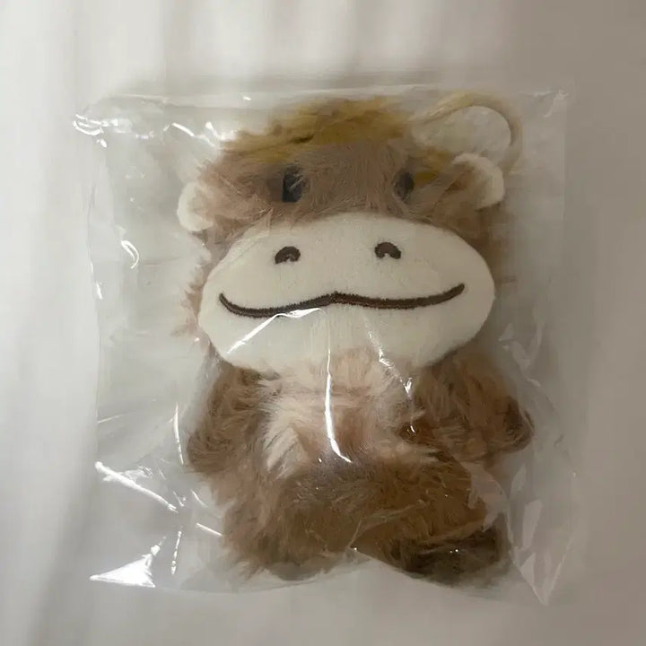 [BUNJANG] NFlying Kim Jinhopp Doll Keychain Yoo Hweseung Haru&