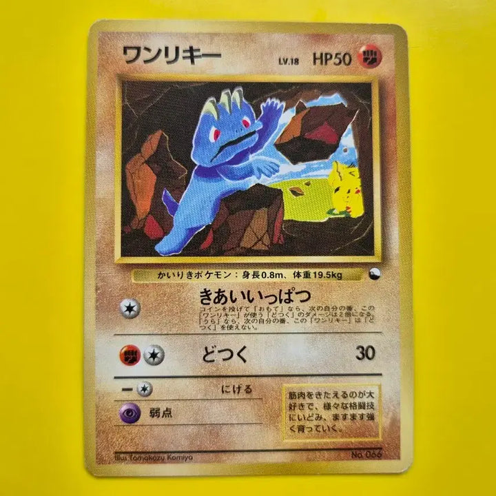 [BUNJANG] Pokemon Card 1996 Machamp Pikachu First Edition Japanese / 포켓몬카드 1996 극희소 괴력몬 근육몬 알통몬 피카츄 등장 초판 1st 1ed 일판