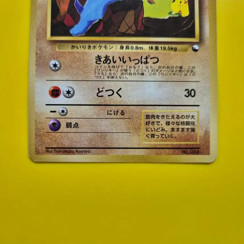 [BUNJANG] Pokemon Card 1996 Machamp Pikachu First Edition Japanese / 포켓몬카드 1996 극희소 괴력몬 근육몬 알통몬 피카츄 등장 초판 1st 1ed 일판