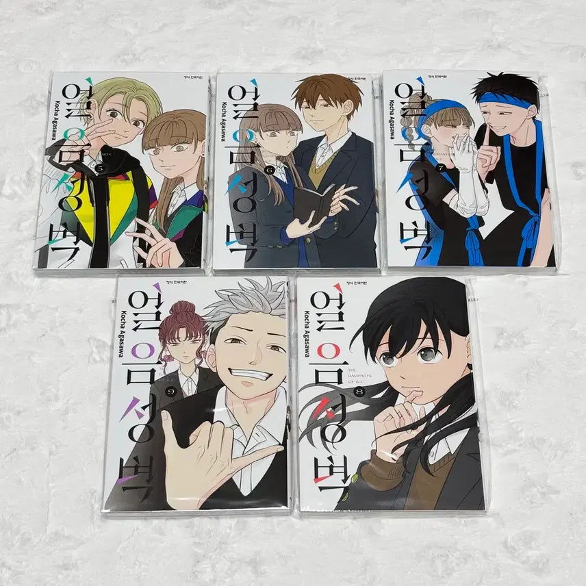 [BUNJANG] Ice Wall Complete Set (Volumes 1-14) Romance Manga / (1~14 전권 일괄) 얼음성벽 순정만화 만화책