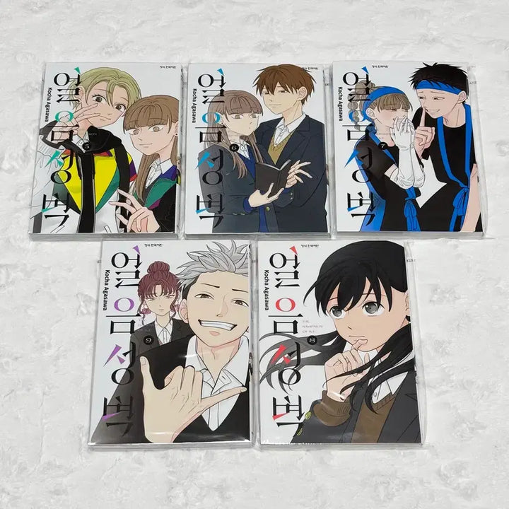 [BUNJANG] Ice Wall Complete Set (Volumes 1-14) Romance Manga / (1~14 전권 일괄) 얼음성벽 순정만화 만화책