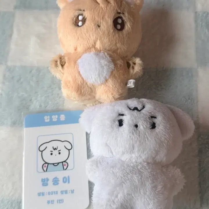 [BUNJANG] TXT Beomgyu Custom Doll Bamging / Bamsongi (Mint Condition) / 투바투 범규 비공굿 인형 밤깅 밤송이 양도