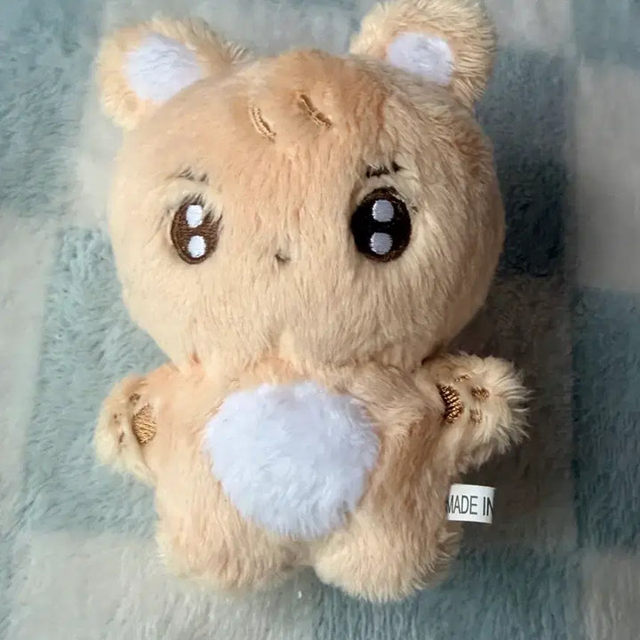 [BUNJANG] TXT Beomgyu Custom Doll Bamging / Bamsongi (Mint Condition) / 투바투 범규 비공굿 인형 밤깅 밤송이 양도