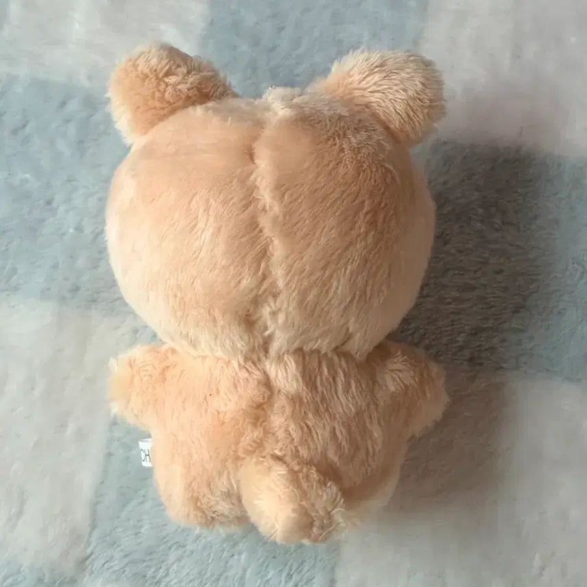 [BUNJANG] TXT Beomgyu Custom Doll Bamging / Bamsongi (Mint Condition) / 투바투 범규 비공굿 인형 밤깅 밤송이 양도
