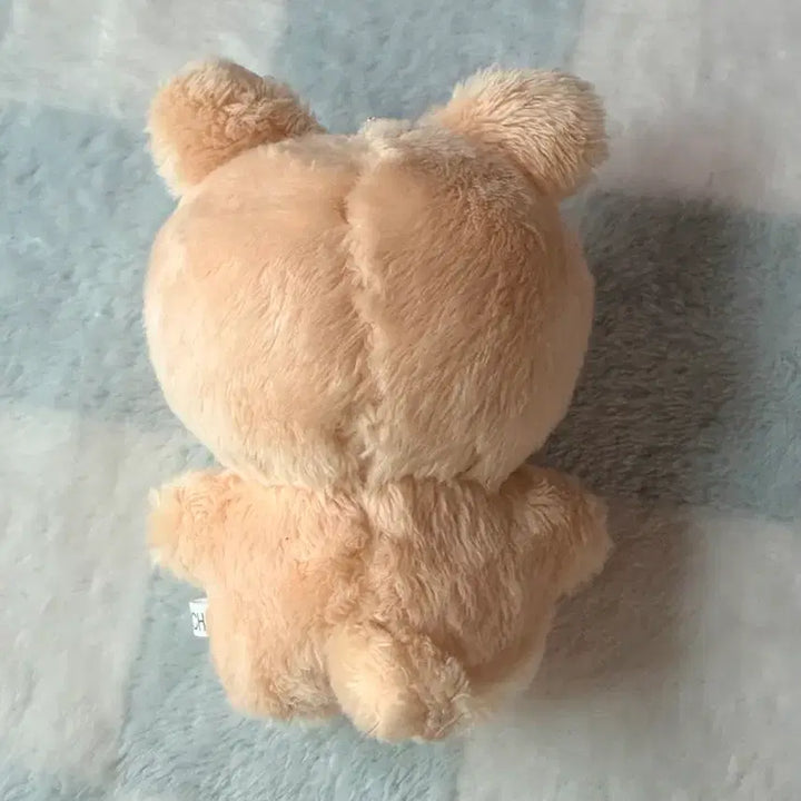 [BUNJANG] TXT Beomgyu Custom Doll Bamging / Bamsongi (Mint Condition) / 투바투 범규 비공굿 인형 밤깅 밤송이 양도