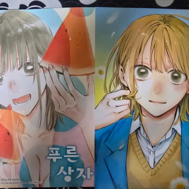 [BUNJANG] Kano Chinatsu Blue Box First Edition POB Photocard / 푸른상자 초판 특전 카노 치나츠 포토카드