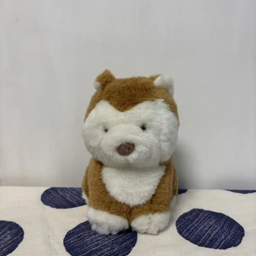 [BUNJANG] Shiba Inu Plush / 시바인형