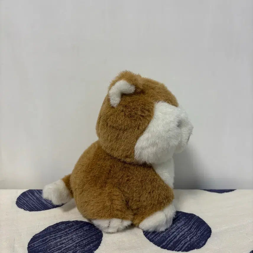 [BUNJANG] Shiba Inu Plush / 시바인형