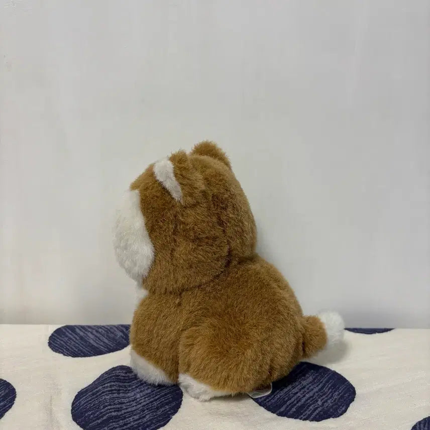[BUNJANG] Shiba Inu Plush / 시바인형
