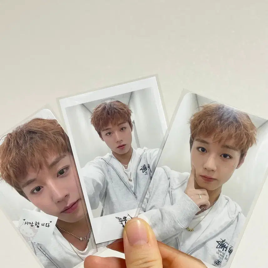 [BUNJANG] Park Jihoon Reflect Fancon MD POB Photocard / 박지훈 리플렉트 팬콘 엠디 MD 특전 포카