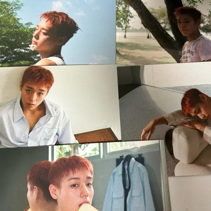[BUNJANG] Park Ji Hoon Reflect Soundwave Pop-up Photocard Set / 박지훈 리플렉트 사운드웨이브팝업 포토카드 5종
